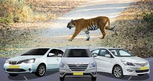 Manufacturer, Exporter, Importer, Supplier, Wholesaler, Retailer, Trader of Delhi to Jim Corbett Taxi in New Delhi, Delhi, India.